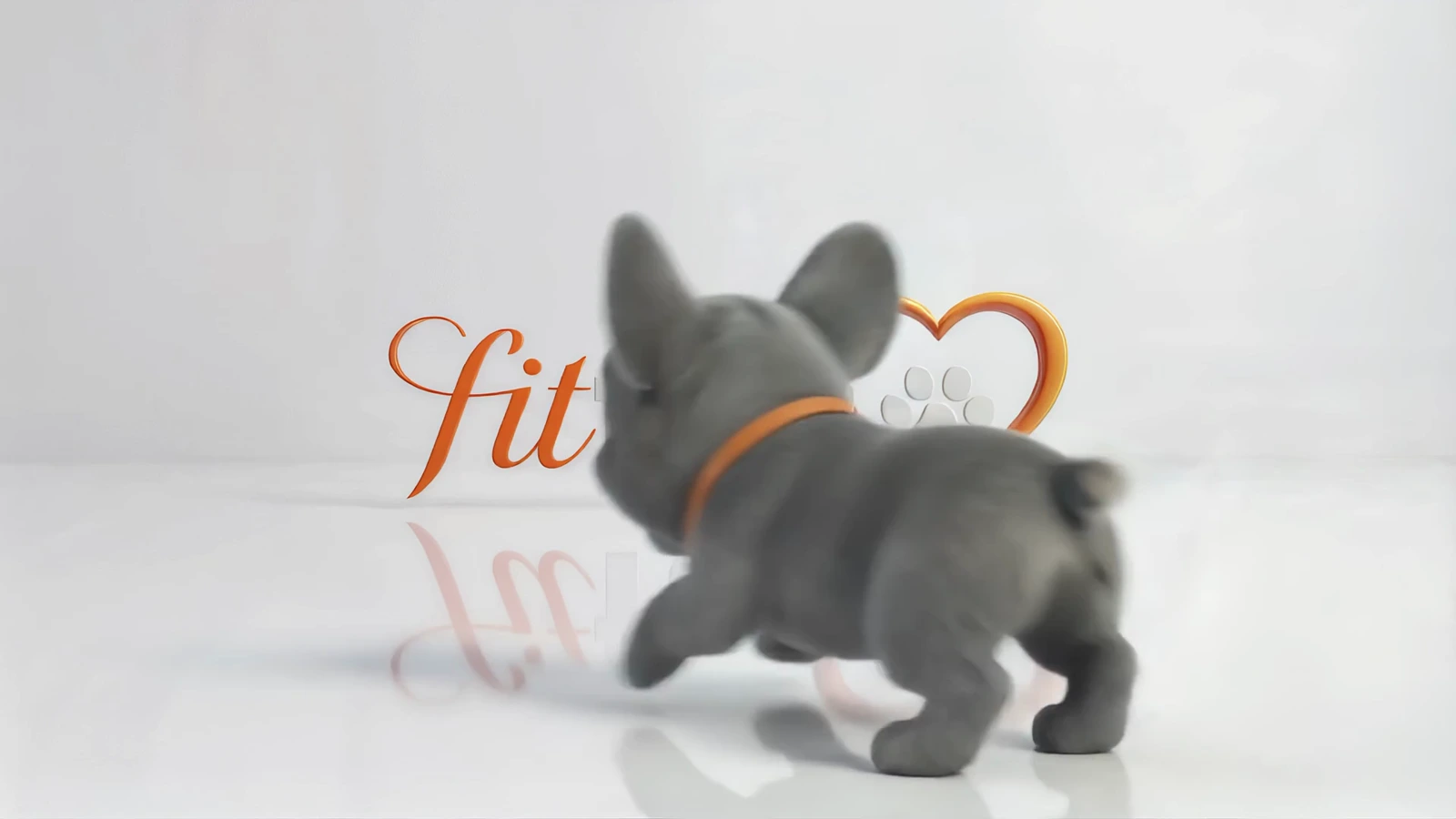 Cleo and Dash logo film preview